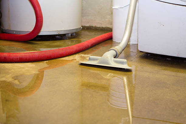 Best Water damage cleanup near me  in Finneytown, OH