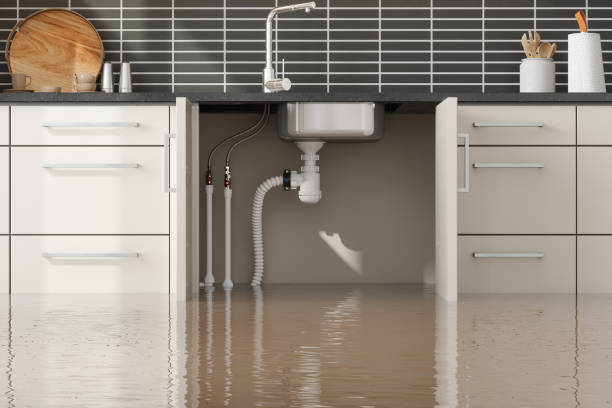 Best Basement water damage restoration  in Finneytown, OH