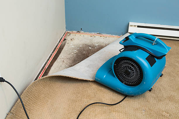 Best Professional water damage repair  in Finneytown, OH